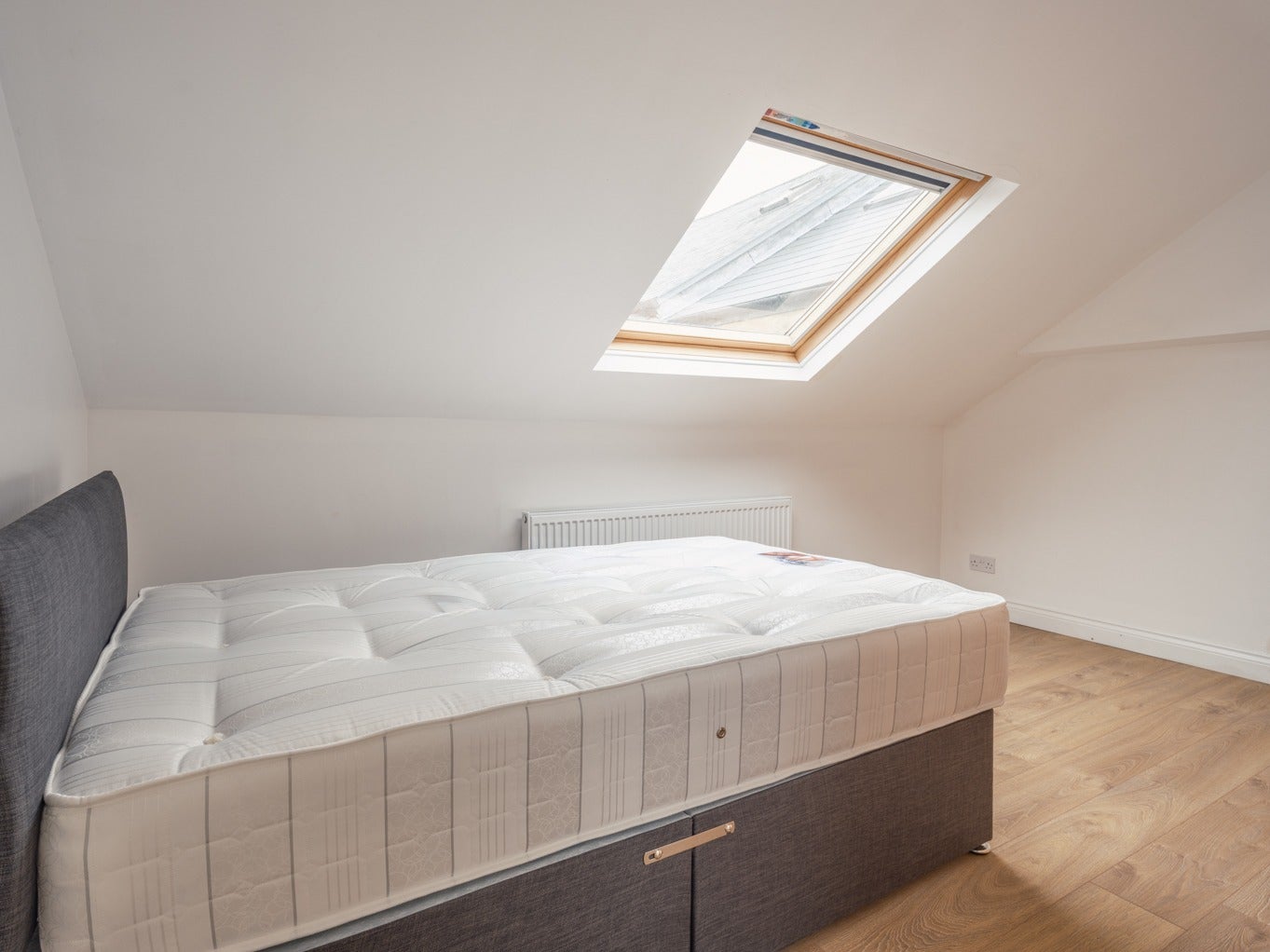 Room Eslington Terrace in Newcastle upon Tyne