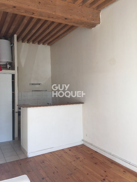Flat Rue Gigodot in Lyon