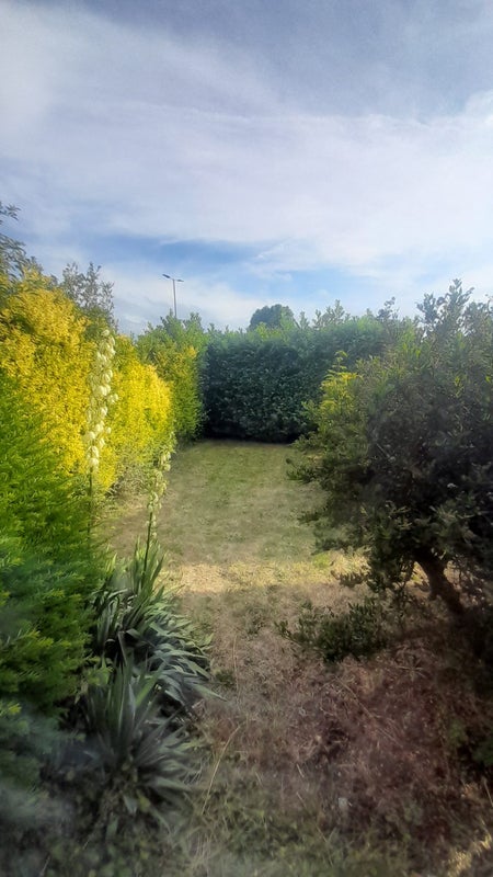 Room Beverley Way in Greater London