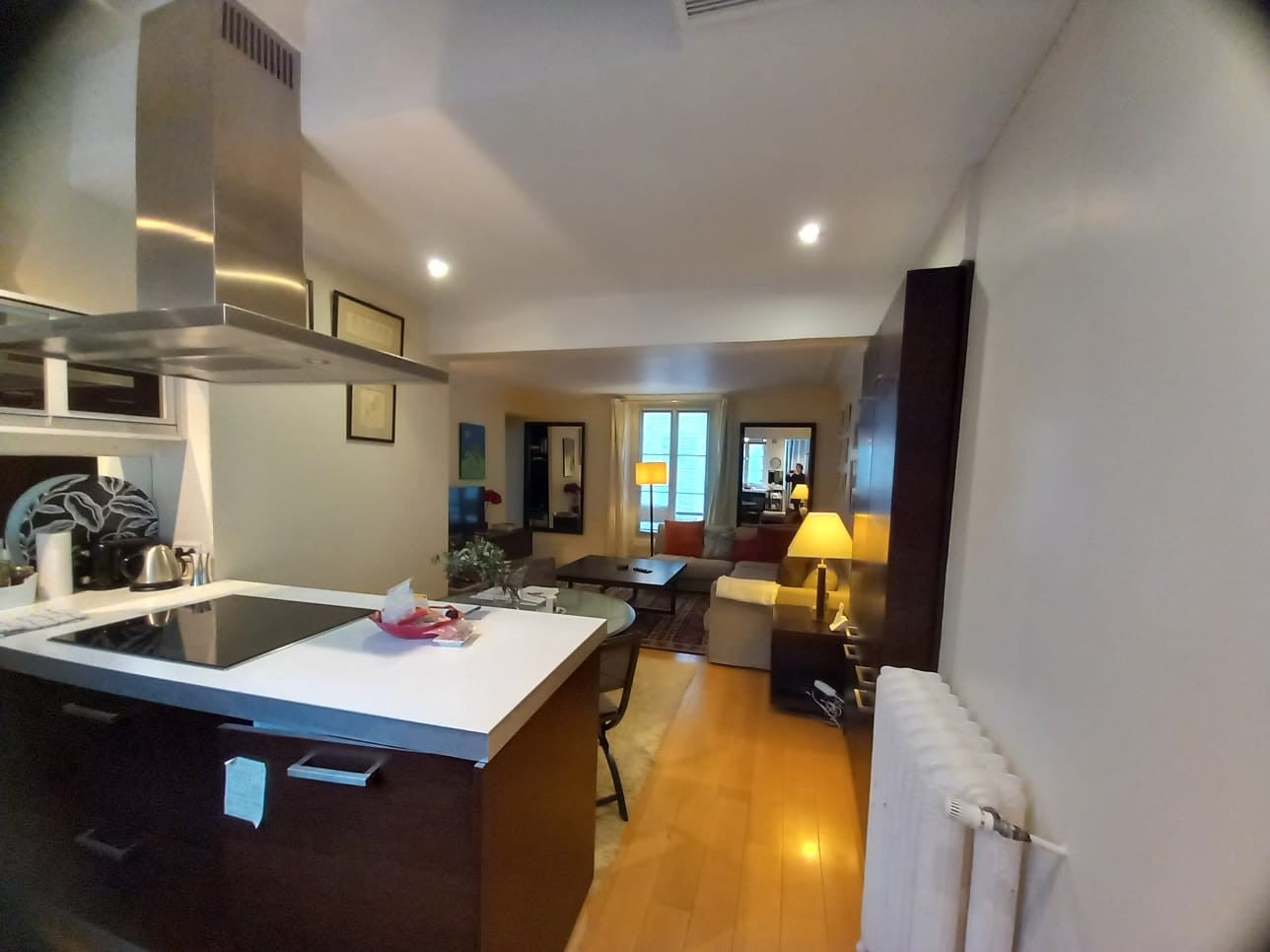 Flat Rue des Minimes in Paris