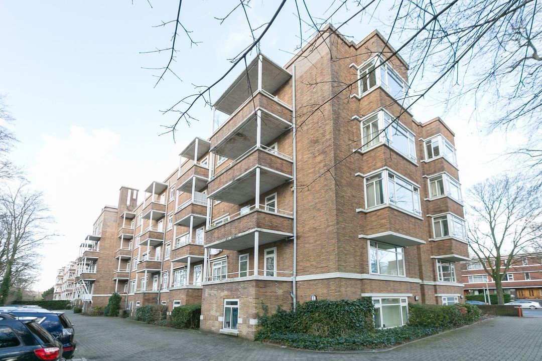 Flat Van Alkemadelaan in Den Haag