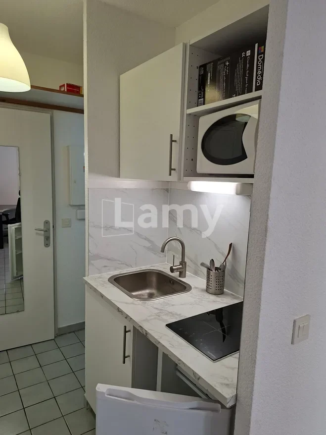 Appartement Avenue de Vizille à Grenoble