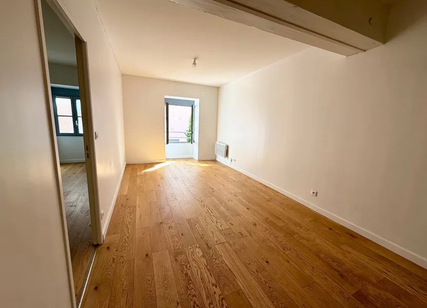 Flat Quai Pierre Scize in Lyon