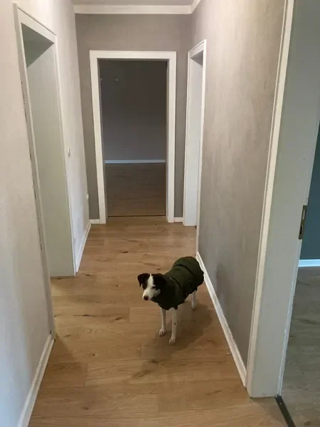Wohnung Merziger Straße in Mülheim an der Ruhr