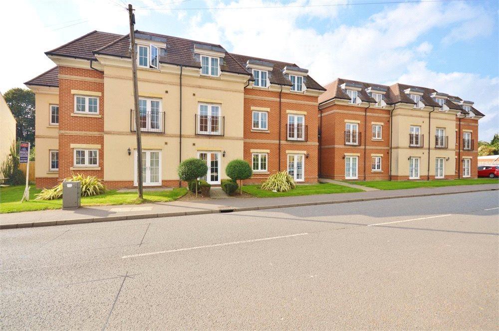 Flat Primrose Hill in Three Rivers