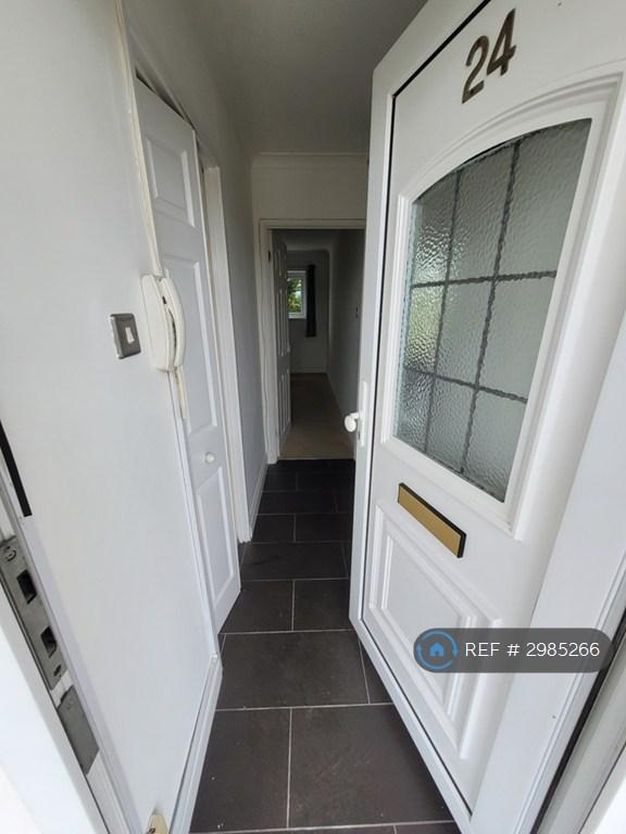 Flat Thistledown in Basildon