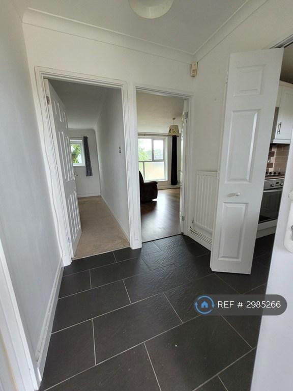 Flat Thistledown in Basildon