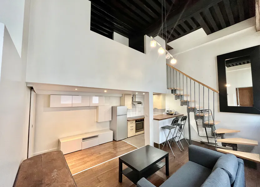 Flat Rue des Trois Rois in Lyon