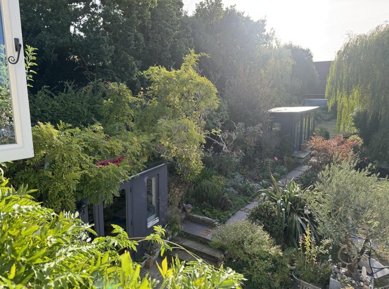 Room Beulah Hill in Greater London