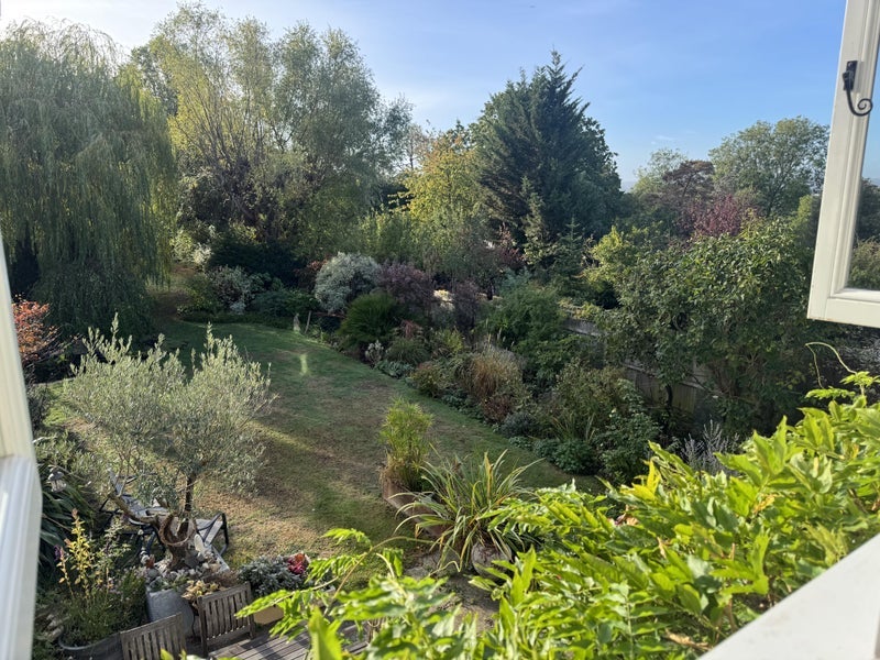 Room Beulah Hill in Greater London