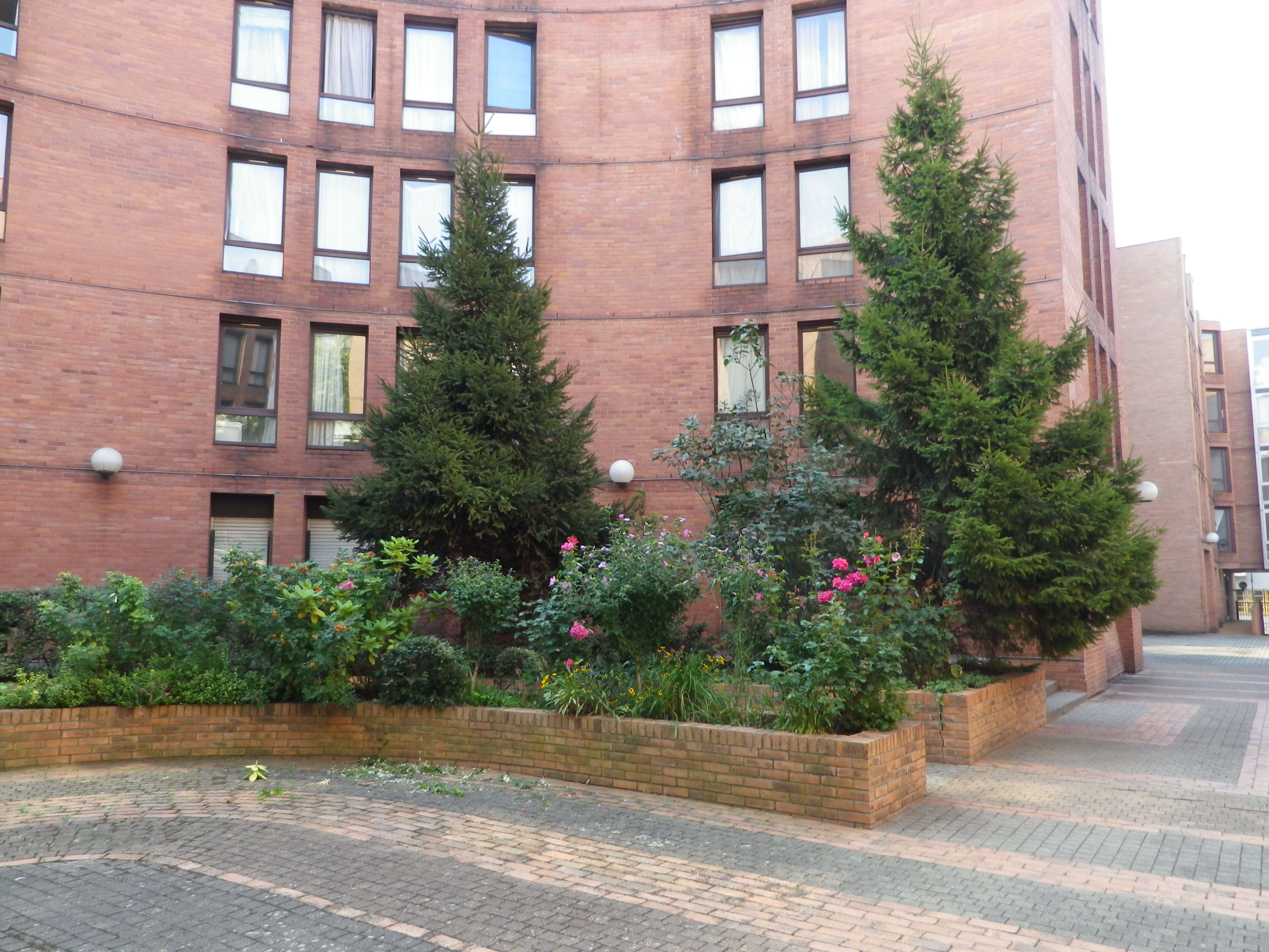Appartement Rue des Amandiers à Paris