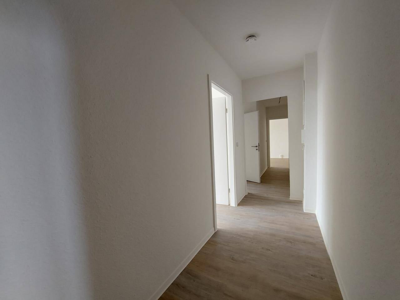 Wohnung Mühlenstraße in Magdeburg
