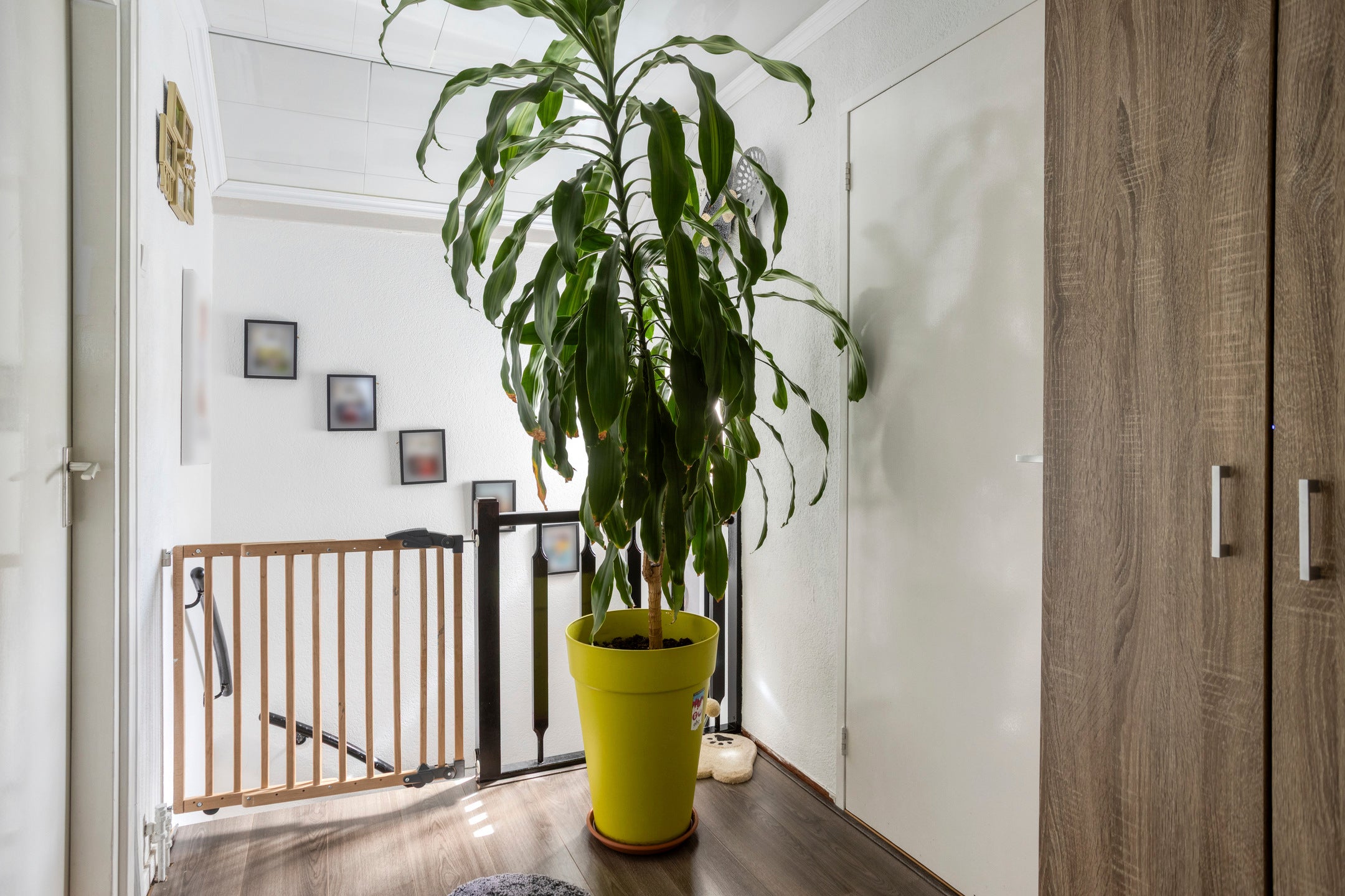 Tussenwoning te koop: Van Aerssenstraat 7, Dordrecht