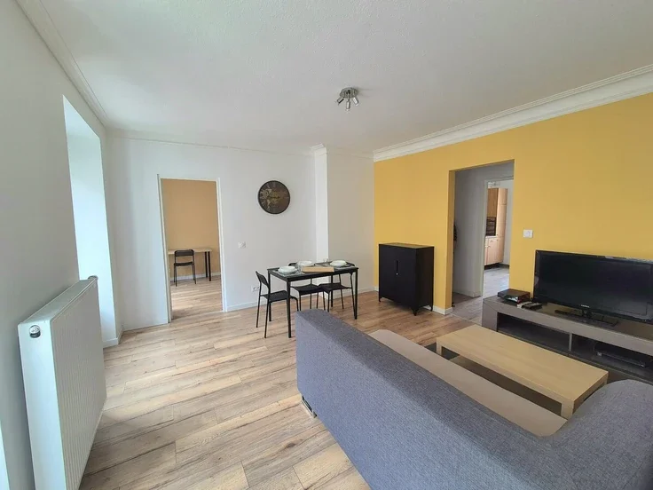 Appartement Rue Buffon à Mulhouse