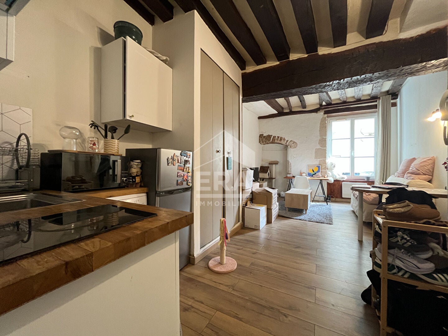 Appartement Grands Degrés Saint-Louis à Blois