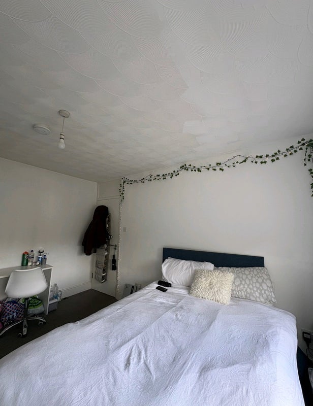 Room Filton Avenue in Bristol