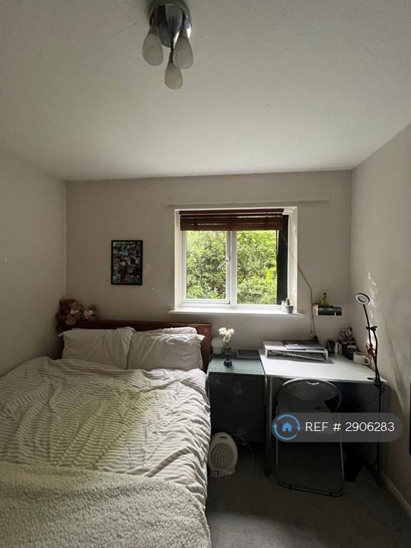 Room Sorin's Path in Rushmoor
