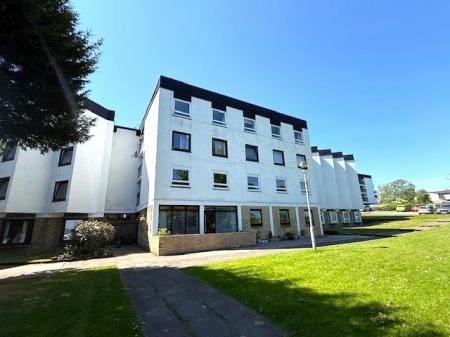 Flat Furlongs in Hamilton