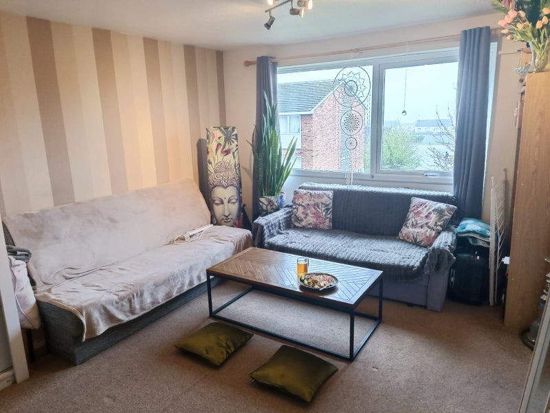 Room Violet Close in Chelmsford
