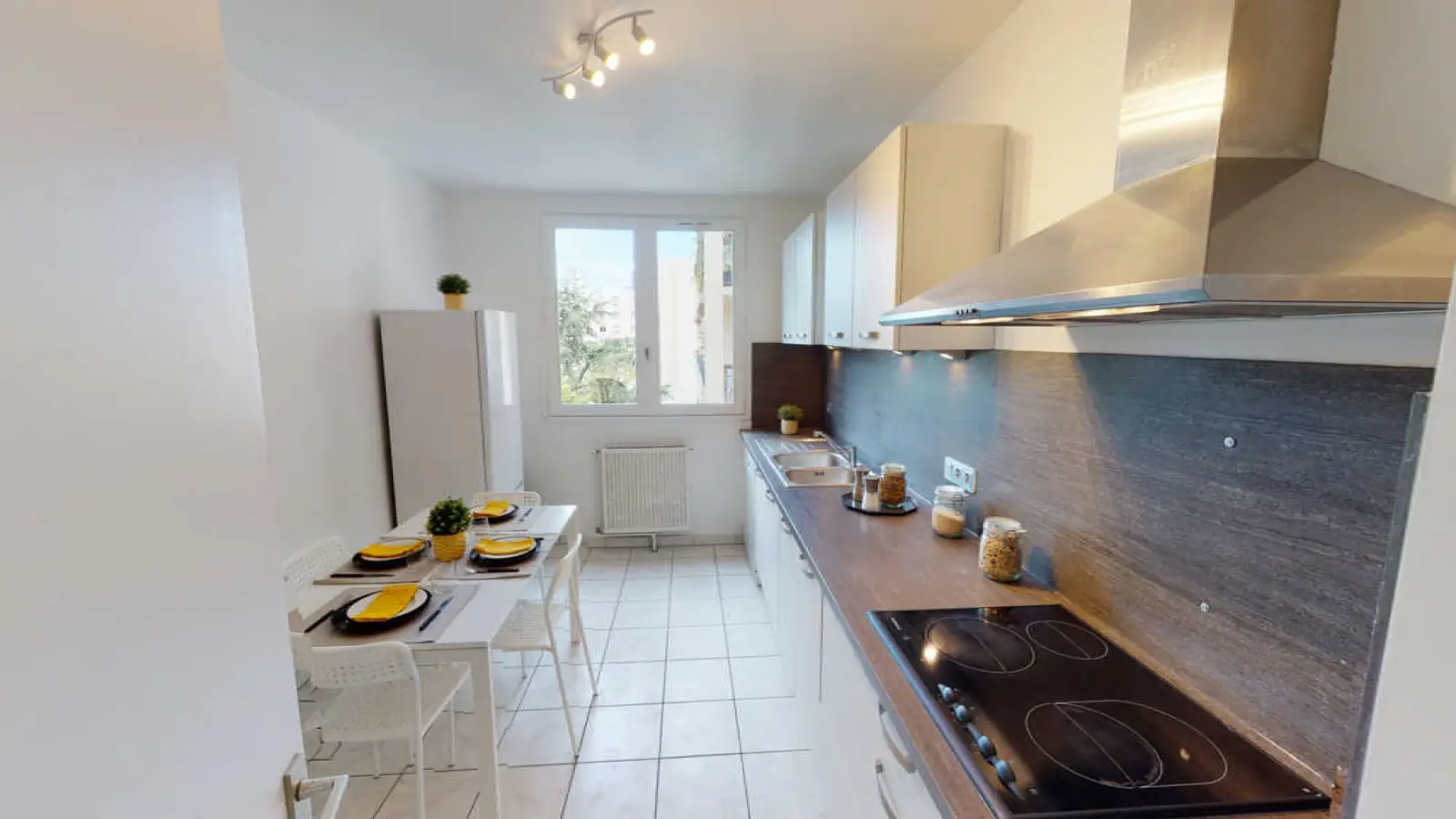 Flat Rue Baraban in Lyon