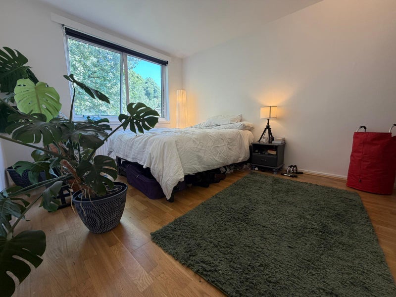 Room Vicar's Close in Greater London