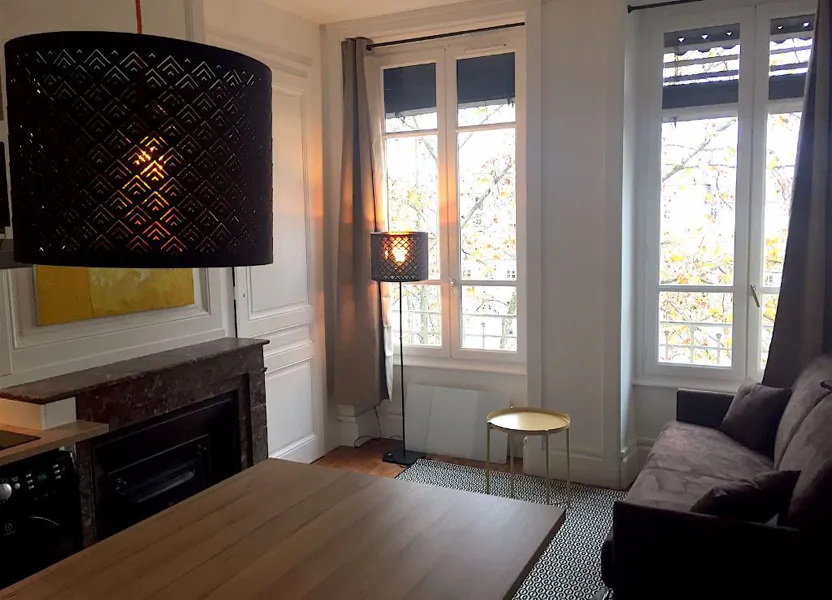 Flat Cours Charlemagne in Lyon