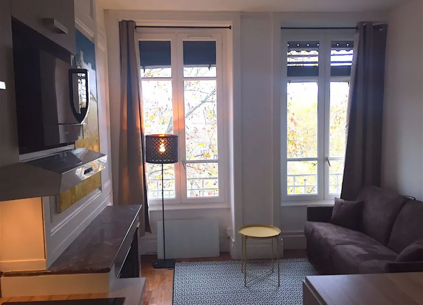 Flat Cours Charlemagne in Lyon