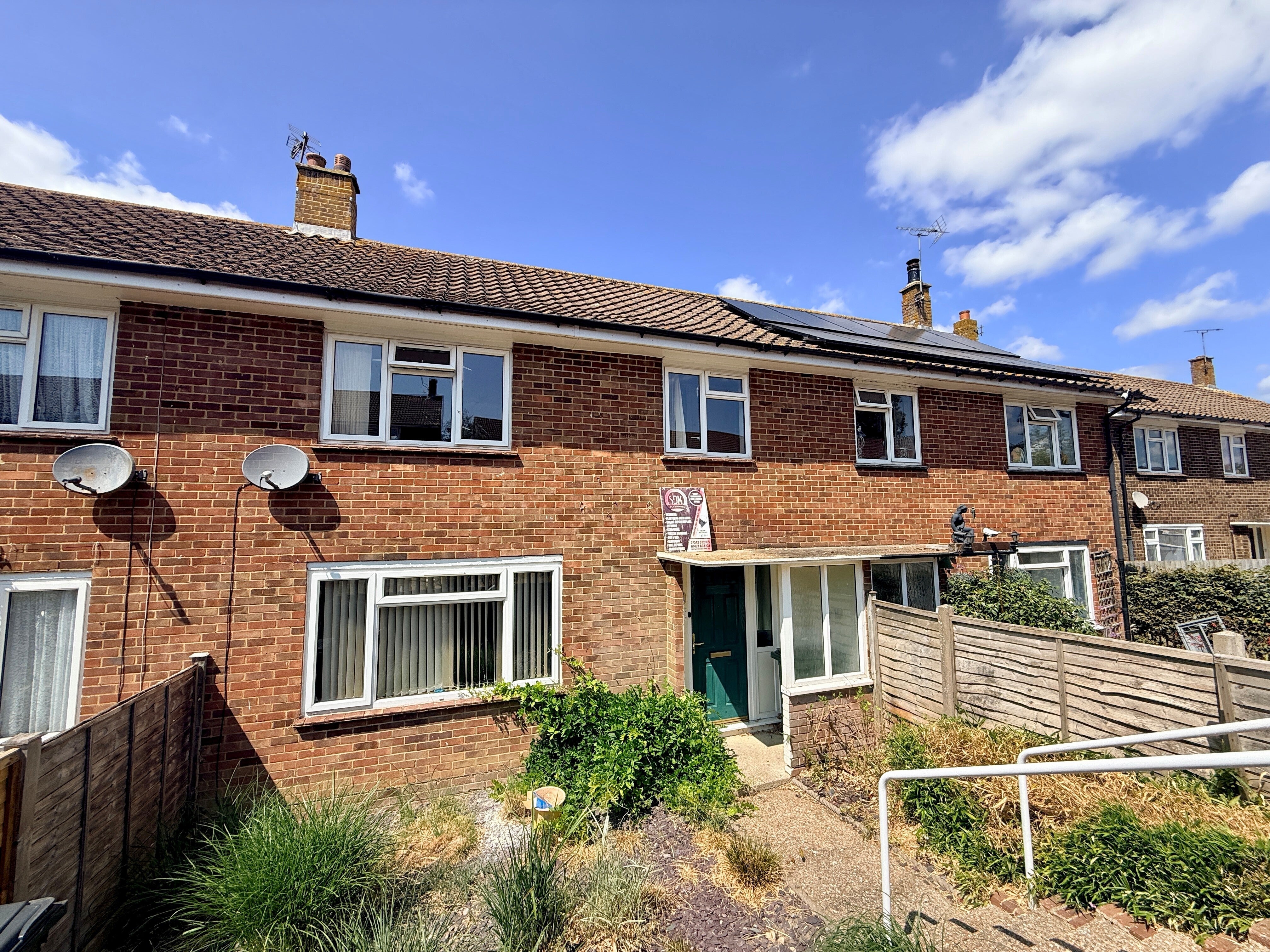House Hornbeam in Rother