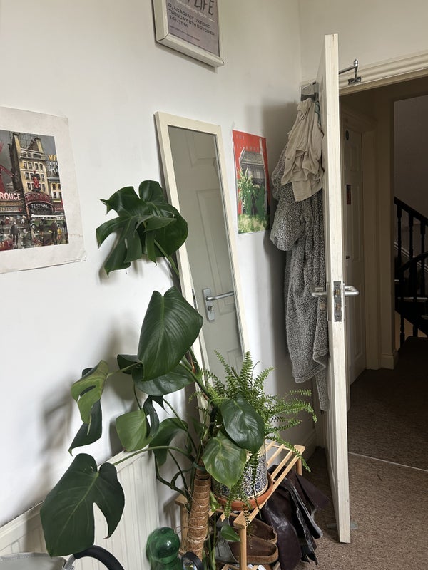 Room West Park in Bristol