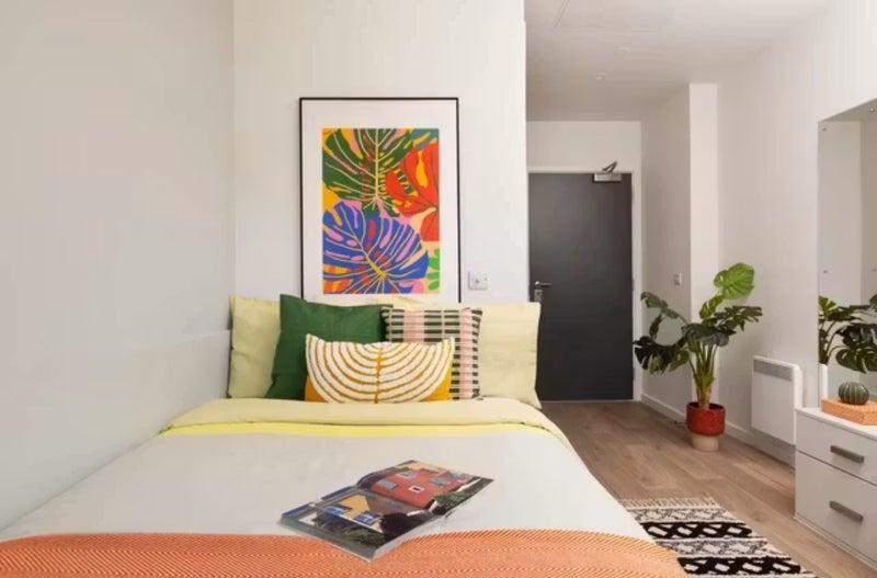 Room Spring Gardens in City of Edinburgh