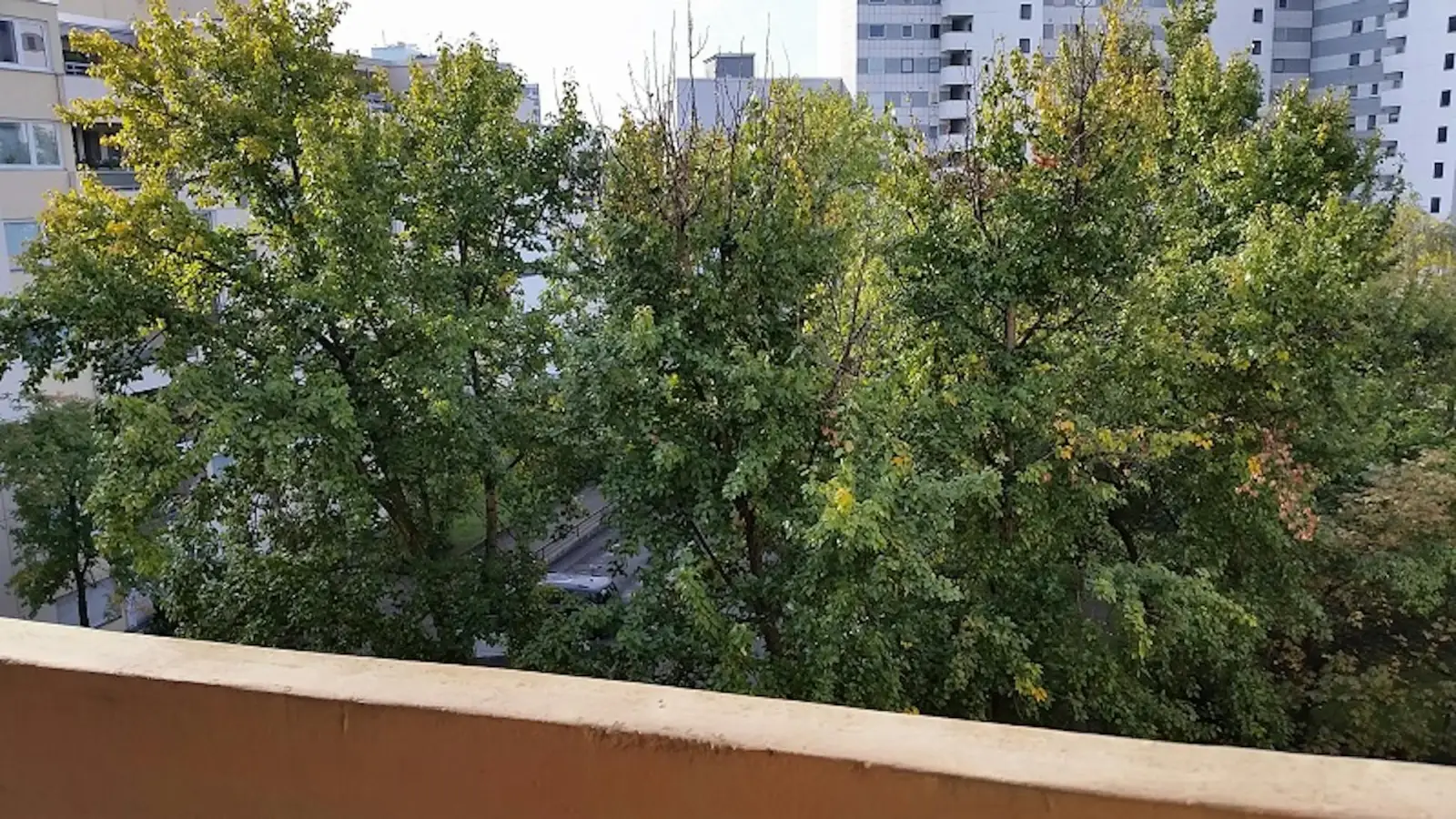 Wohnung Burggrafenstraße in Berlin