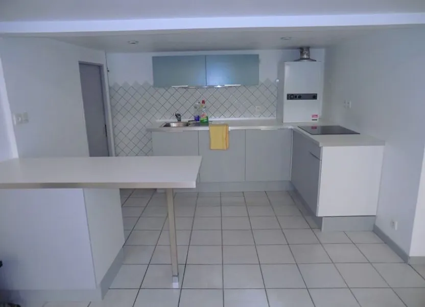 Appartement Cours d'Herbouville à Lyon