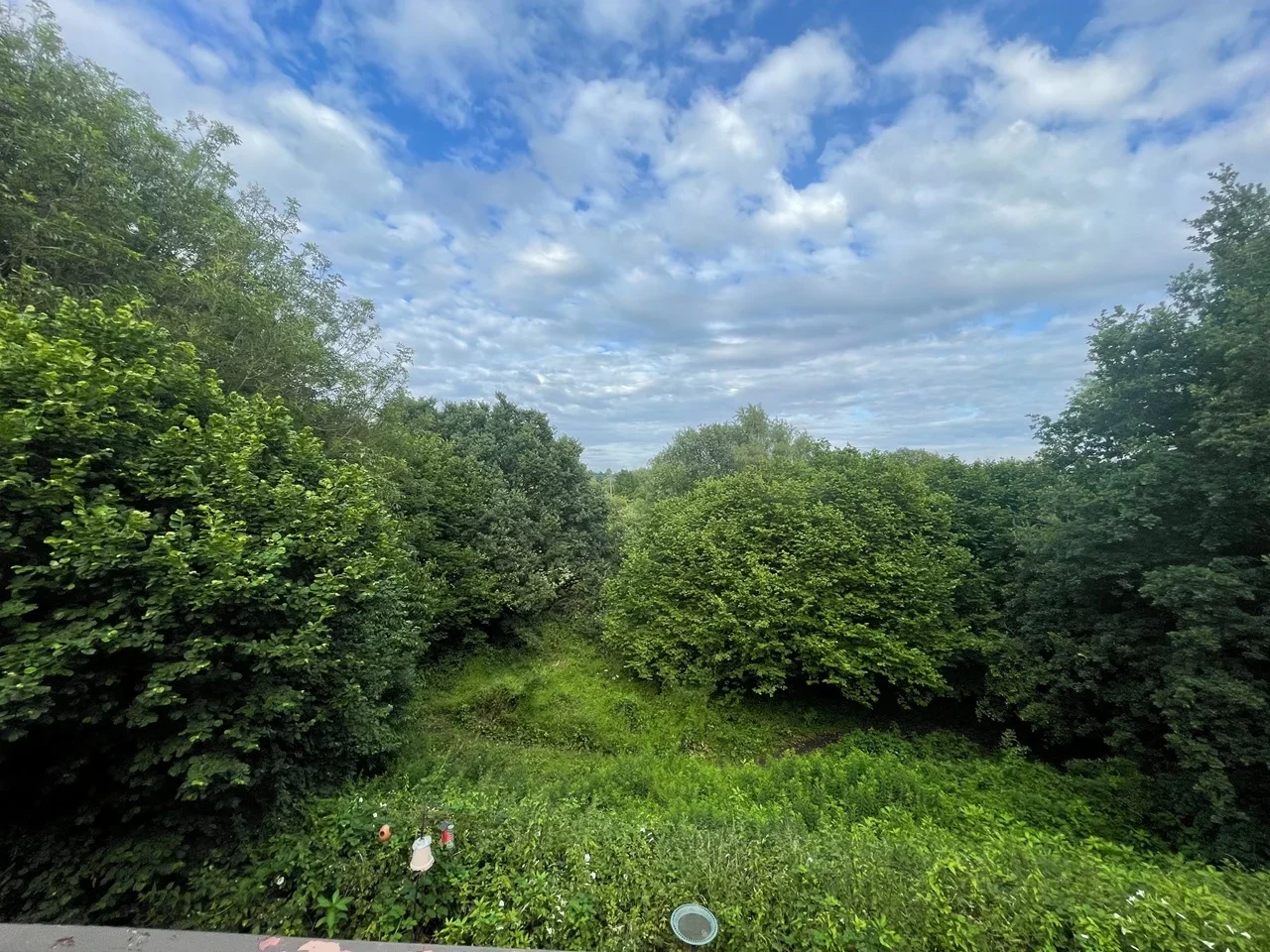 Flat Beaulieu Close in Wyre Forest