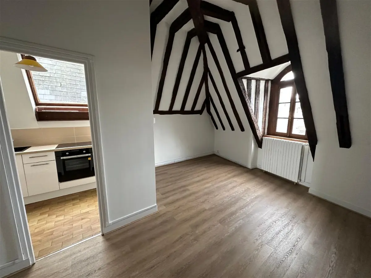 Flat Rue du Cygne in Tours