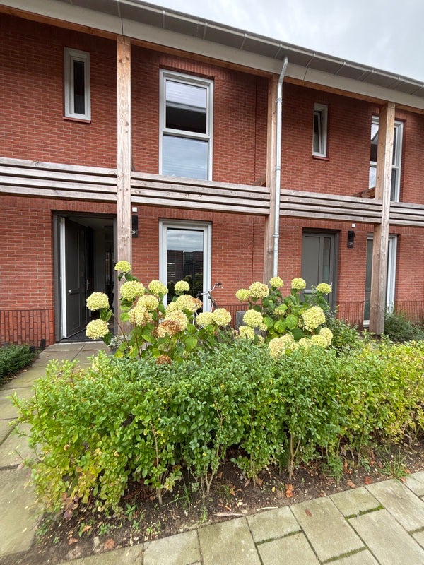 Appartement Vondelstraat in Steenwijk
