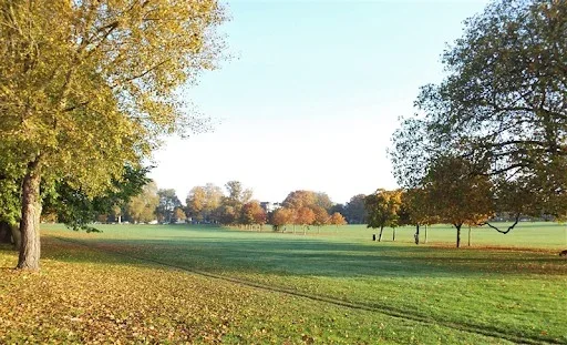 Flat Peckham Rye in Greater London