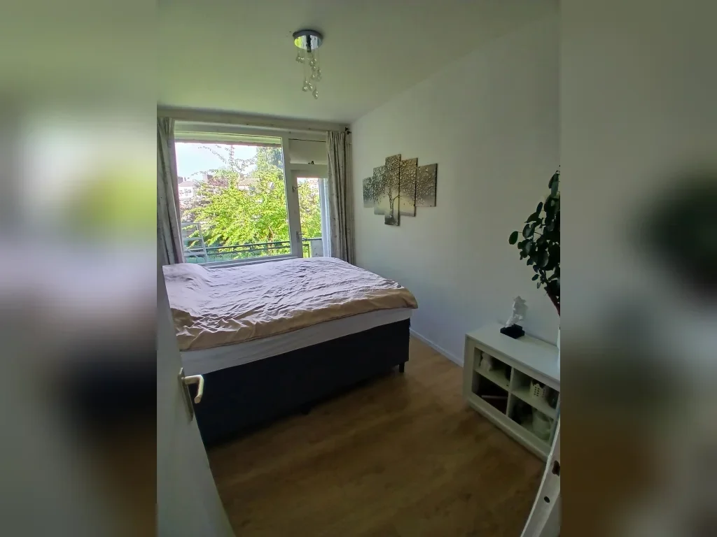 Appartement Kastanjesingel in Rotterdam