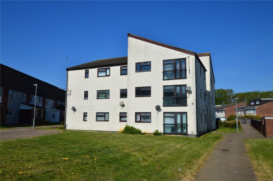 Flat Little Cattins in Harlow