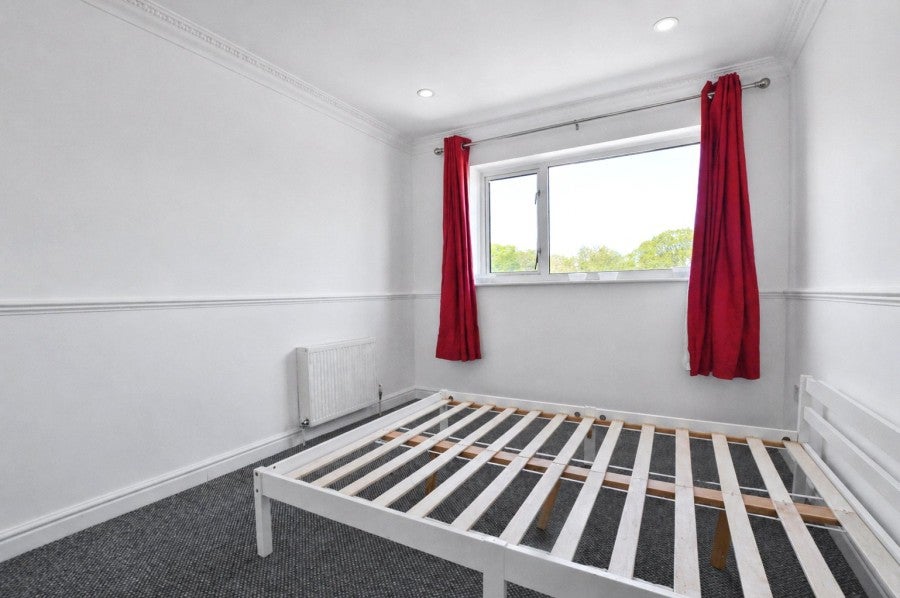 Flat Little Cattins in Harlow