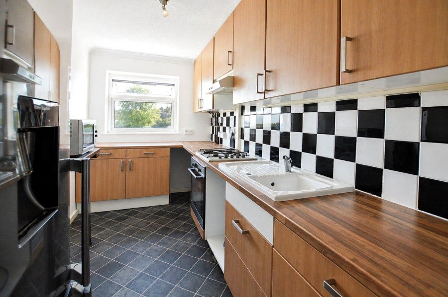 Flat Little Cattins in Harlow