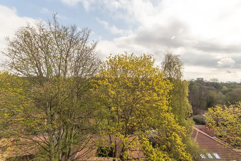 Flat Adderstone Crescent in Newcastle upon Tyne