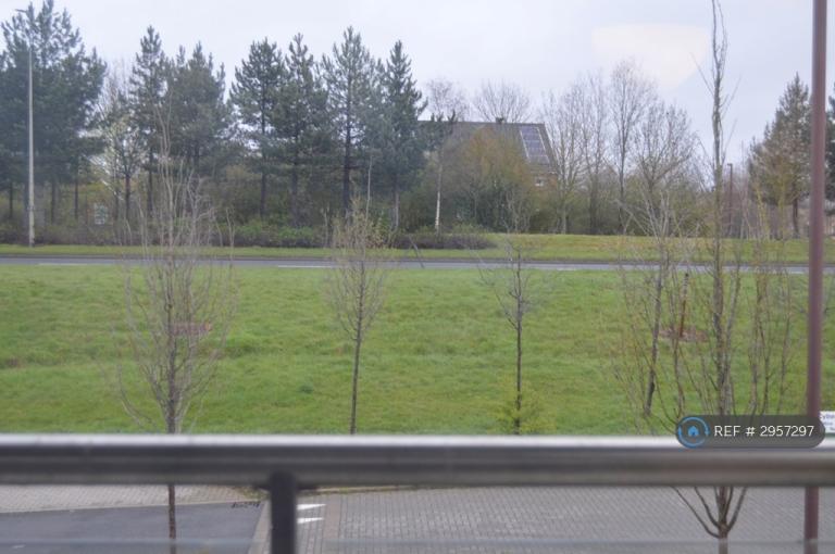House Wizard Way in Milton Keynes