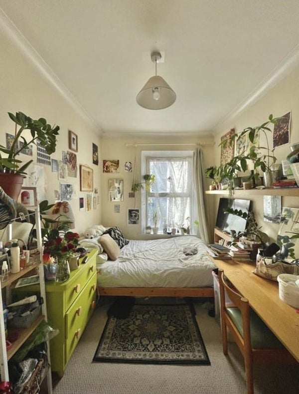 House Oakfield Grove in Bristol