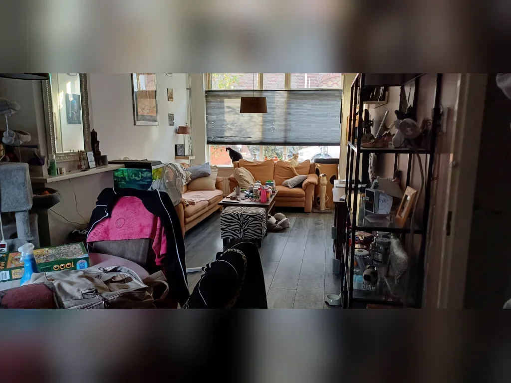 Huis Zonstraat 6