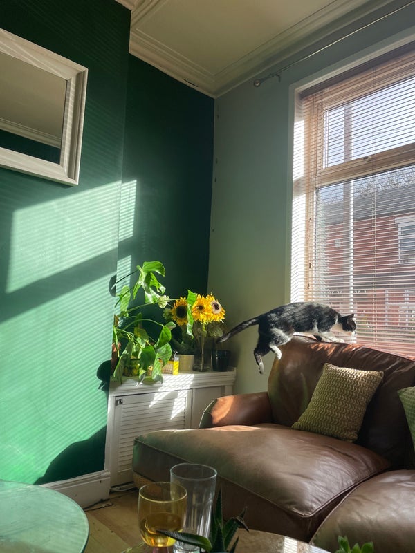 Room Audley Road in Manchester