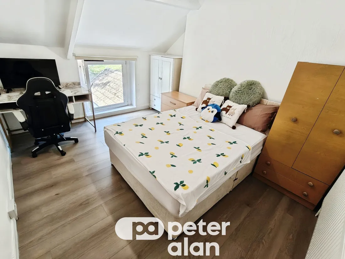 Room King Edward Road in Swansea