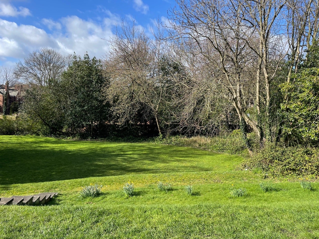 Flat Woodside in Sunderland
