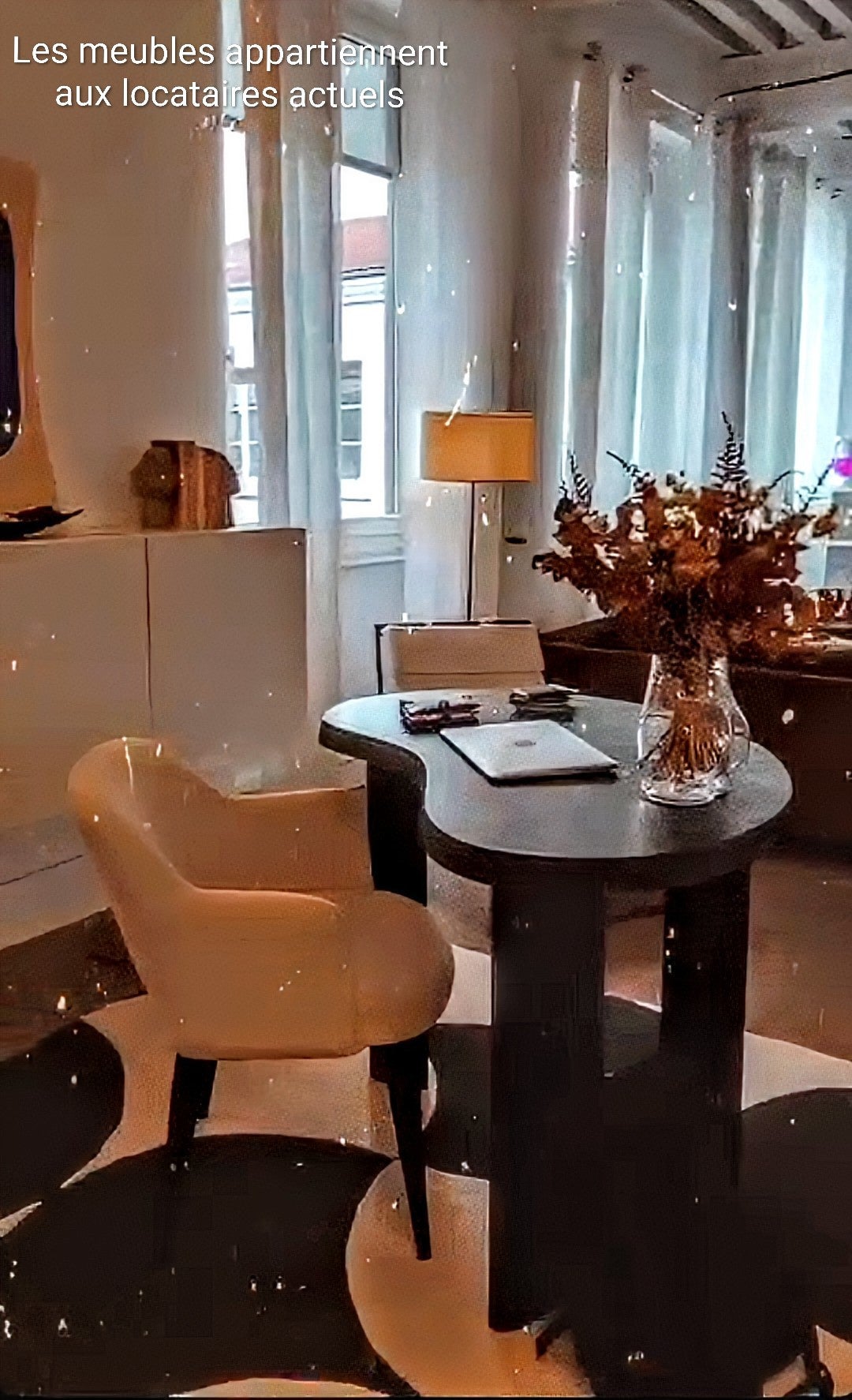 Appartement Rue Jean Larrivé à Lyon