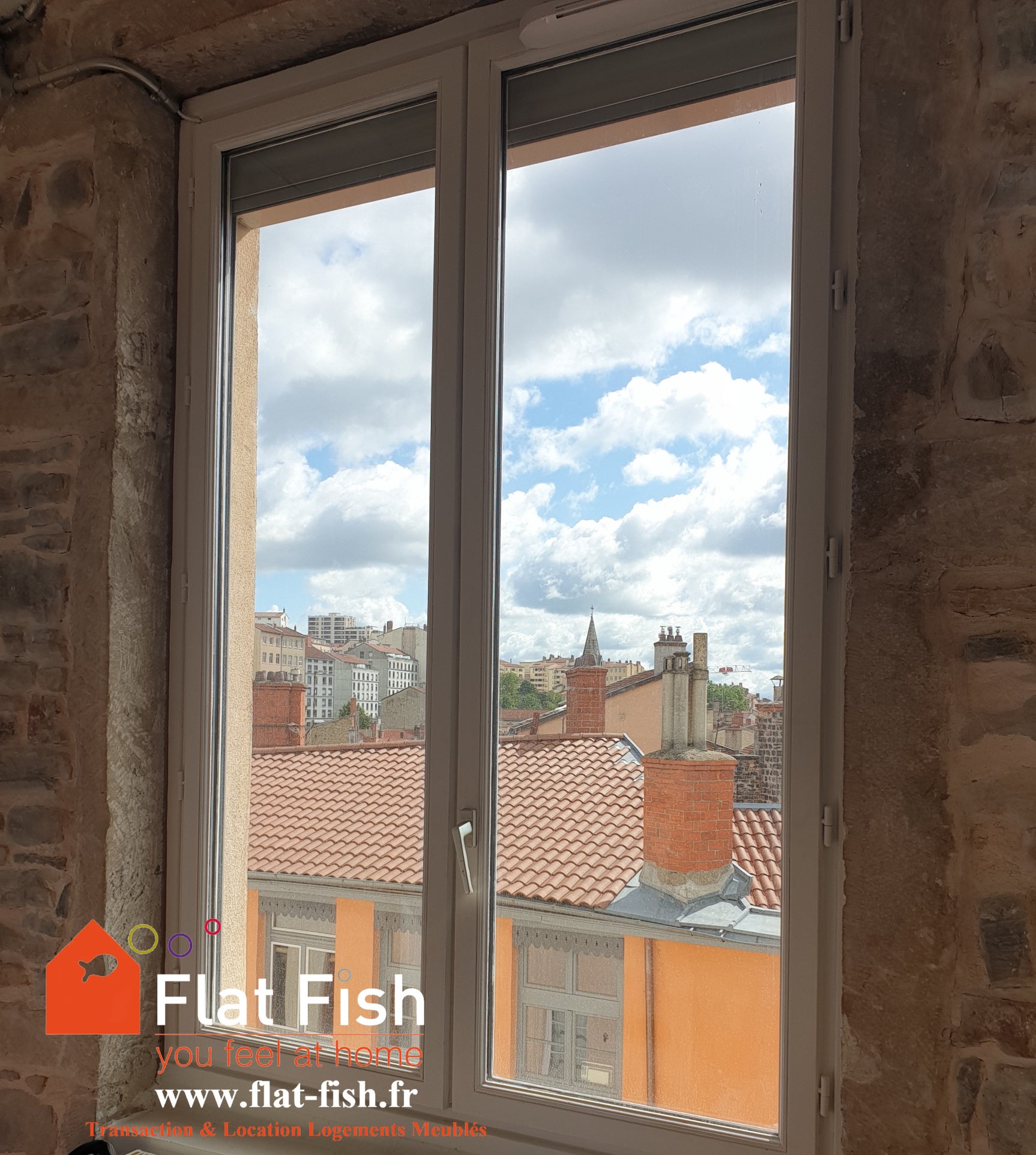 Appartement Rue Jean Larrivé à Lyon