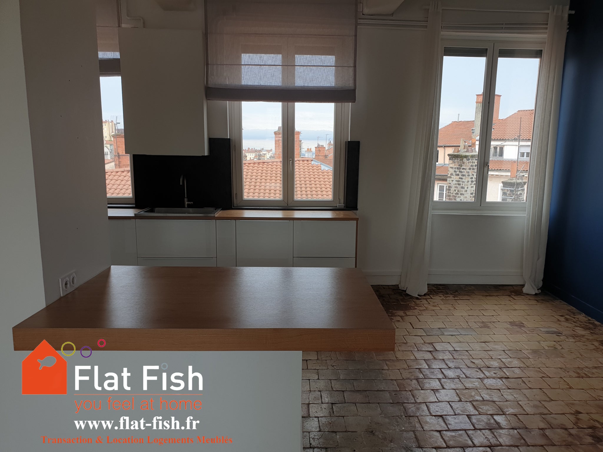 Appartement Rue Jean Larrivé à Lyon